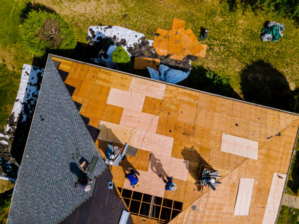 Best Metal Roofing Contractor  in Kensington, CA