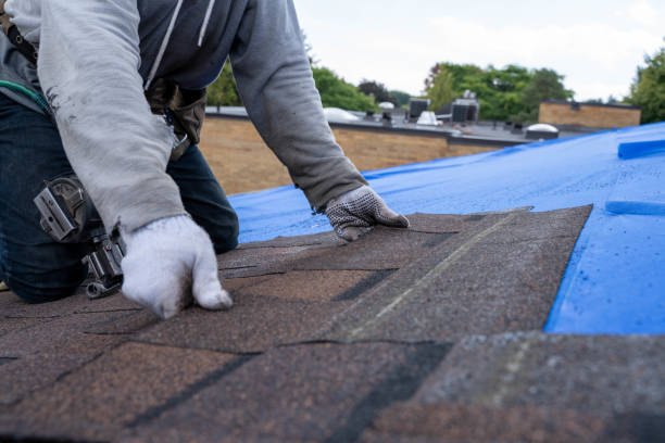 Best Storm Damage Roof Repair  in Kensington, CA
