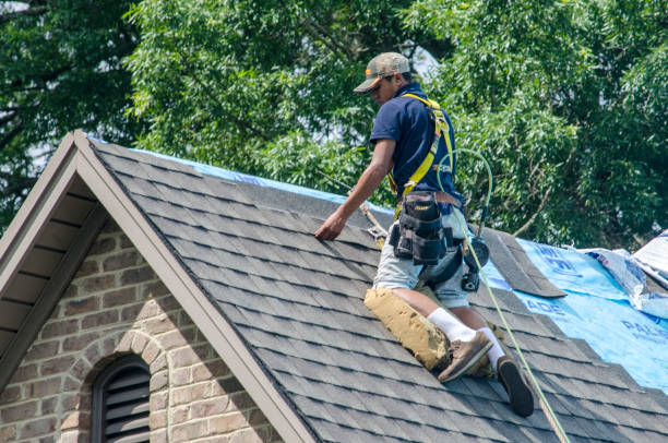 Best Gutter Installation and Roofing  in Kensington, CA
